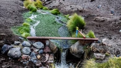 Photo of Hoy La Haya leerá fallo sobre demanda del Río Silala