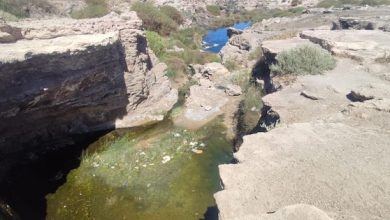 Photo of Basura de fin de semana largo dejan contaminado La Cascada