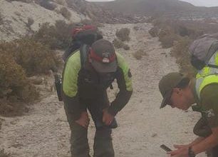 Photo of Carabineros realiza amplio despliegue de búsqueda para dar con paradero de persona extraviada en el altiplano