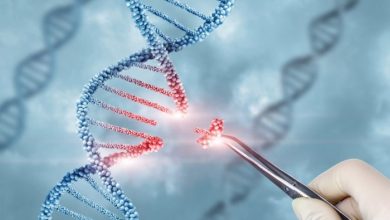 Photo of Norma que regula la edición del genoma humano será analizada por Comisión de Salud
