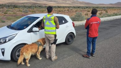 Photo of Aduanas y Carabineros detectan a 4 viajeras con 20,5 kilos de ketamina adosadas al cuerpo