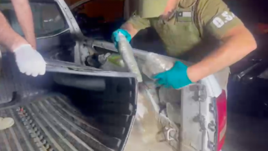 Photo of Carabineros saca de circulación más de 300 millones de dosis en drogas