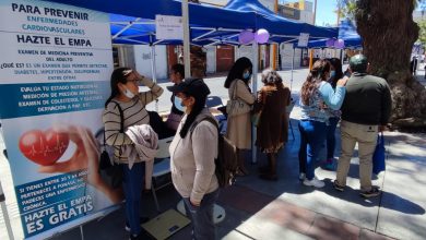 Photo of Con feria de emprendedoras y servicios se conmemora Día eliminación violencia contra la mujer
