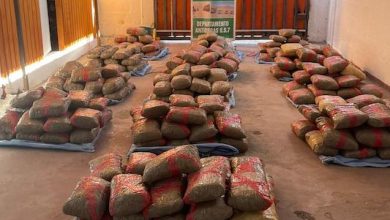 Photo of 291 kilos de marihuana incauta OS7 Carabineros El Loa