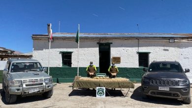 Photo of Carabineros detiene en la frontera a sujeto por tráfico de drogas y receptación de vehículo robado