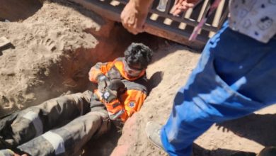 Photo of Bomberos de la 1era Compañía de Calama rescatan a perritos desde bajo una loza