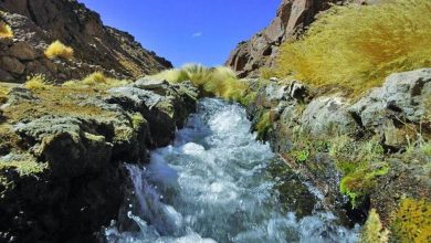 Photo of Corte de La Haya dice que Río Silala es internacional