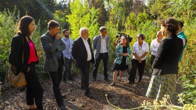 Photo of Un millón de hectáreas en restauración: la ambiciosa meta con que Chile recuperará sus paisajes y ecosistemas para 2030