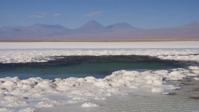 Photo of Contraloría toma razón de los contratos entre Corfo, SQM y Codelco que permiten dar continuidad a operaciones de litio en el Salar de Atacama