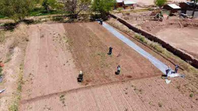 Photo of Investigación y trabajo en terreno fueron claves para recuperar suelos agrícolas en El Loa