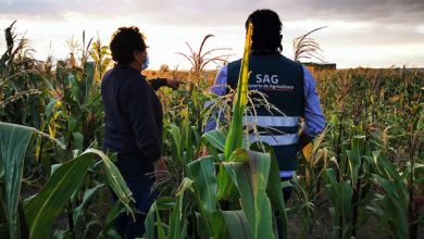 Photo of SAG Antofagasta recuerda a agricultores/as postular al Programa de Recuperación de Suelos Degradados, Operación Temprana 2023