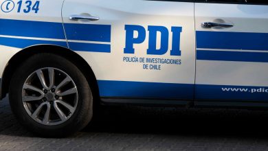 Photo of Buzo mariscador muere y PDI investiga causas