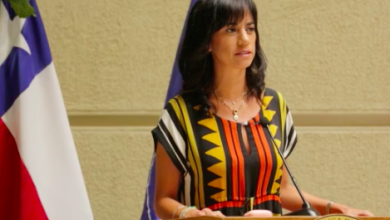 Photo of Senadora Paulina Núñez sostiene que ministra Vallejo le tiró salvavidas de plomo al Presidente