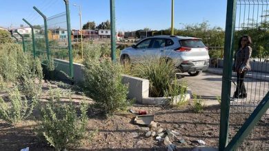 Photo of Malditos: Delincuentes roban rejas de borde río
