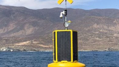 Photo of Instalaron “Boyas Hidroacústicas” de monitoreo y protección de fauna marina frente a Chungungo