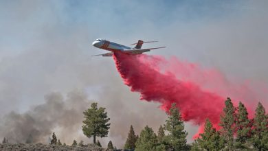 Photo of Familia Luksic trae Aero Tanker a Chile para combatir incendios