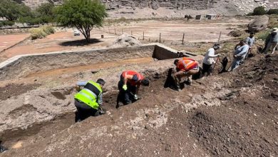 Photo of Minera Estatal entrega apoyo a comunidades de Alto El Loa