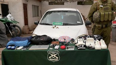 Photo of Trabajo conjunto entre municipio de San Pedro de Atacama y Carabineros dejó dos detenidos y recuperó variadas especies