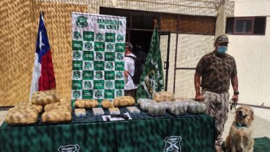 Photo of Mujer armada traficaba droga en bus interprovincial