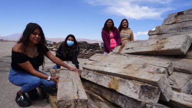 Photo of Estudiantes becados por El Abra en Ollagüe concretan compromiso comunitario beneficiando a adultos mayores