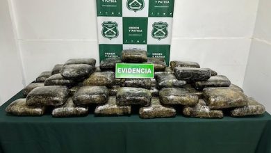 Photo of Cargado de marihuana pillan a colombiano en bus