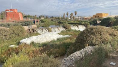 Photo of Principal recinto de esparcimiento de la comuna cierra sus puertas por aumento en el caudal del Río Loa