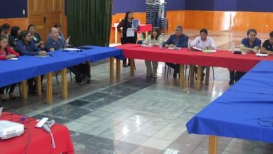 Photo of Establecen plazos para la entrega de los primeros avances de la Red de Apoyo de Salud Mental para Niños, Niñas y Adolescentes