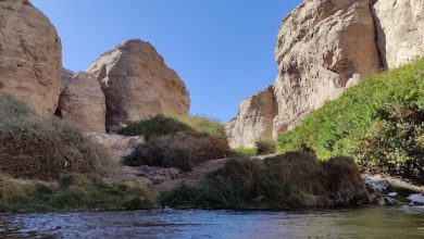 Photo of Llaman a registrar el derecho de aprovechamiento de aguas en el Catastro Público