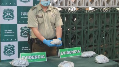 Photo of Carabineros del OS7 desarticula organización criminal dedicada al tráfico de drogas
