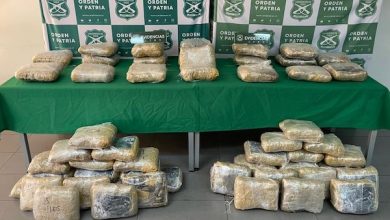 Photo of Carabineros desarticula organización criminal decomisando millonaria carga de drogas