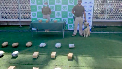 Photo of Carabinero del OS7 intercepta más de 78 mil dosis de drogas