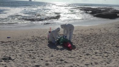 Photo of URGENTE: DECRETAN ALERTA AMARILLA EN LA REGIÓN POR GRIPE AVIAR