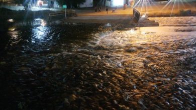 Photo of Crecida del río Loa amenaza Parque El Loa
