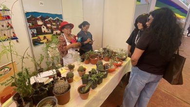 Photo of 41 emprendedores de Calama y Alto Loa participaron de exitosa  Feria Agropecuaria