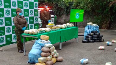 Photo of Decomisan millonaria carga de droga son 280 kilos