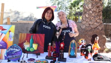 Photo of El FOSIS y Microsoft lanzan 50 mil cupos para capacitarse y digitalizar emprendimientos en 5 años