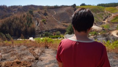 Photo of INDAP ENTREGA PRIMEROS BONOS DE 1 Y 3 MILLONES DE PESOS A PEQUEÑOS AGRICULTORES AFECTADOS POR INCENDIOS
