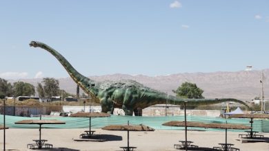 Photo of Corporación de Cultura y Turismo de Calama presenta nutrida y entretenida cartelera cultural para abril