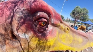 Photo of Mañana jueves inaugurarán segunda etapa del proyecto Titanes Es-Culturales