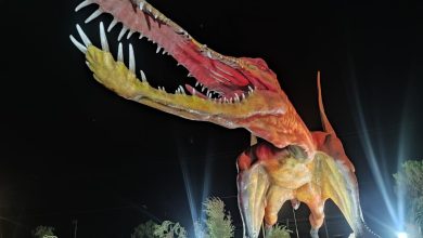 Photo of DINOSAURIOS GIGANTES HABITARON CALAMA