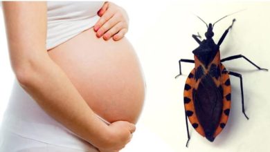 Photo of Mal de Chagas contagia a embarazadas y cifras son alarmantes
