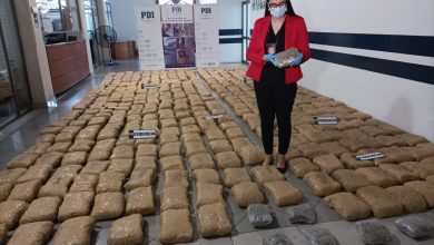 Photo of Casi media tonelada de droga decomisaron la región Antofagasta