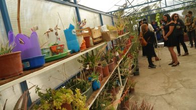 Photo of TRES ESTABLECIMIENTOS EDUCACIONALES DE CALAMA RECIBIERON CERTIFICACIÓN AMBIENTAL POR SU DESTACADA GESTIÓN