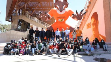 Photo of Tour Zorros del Desierto apuesta ser entretenida alternativa para fanáticos y turistas en fin de semana