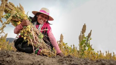 Photo of MÁS DE $364 MIL MILLONES EJECUTÓ INDAP DURANTE 2022