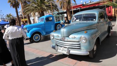 Photo of Con paseo desde la era paleontológica hasta la década de los 80: Así se vivirá el Día del Patrimonio en Calama