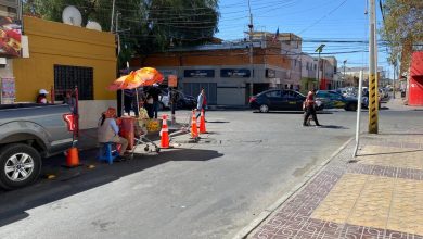 Photo of Jauria de perros ataca a persona en pleno centro de Calama y muere en el hospital
