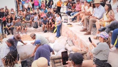 Photo of Siete mil personas llegaron al Valle de Codpa a disfrutar de la cultura, tradición y patrimonio de la Vendimia 2023