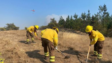 Photo of Balance temporada de incendios 2022-2023: 431 mil hectáreas afectadas y 2.369 brigadistas movilizados