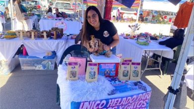 Photo of En el Parque El Loa se realizará la primera Expo Mascotas organizada por la Corporación de Cultura y Turismo de Calama